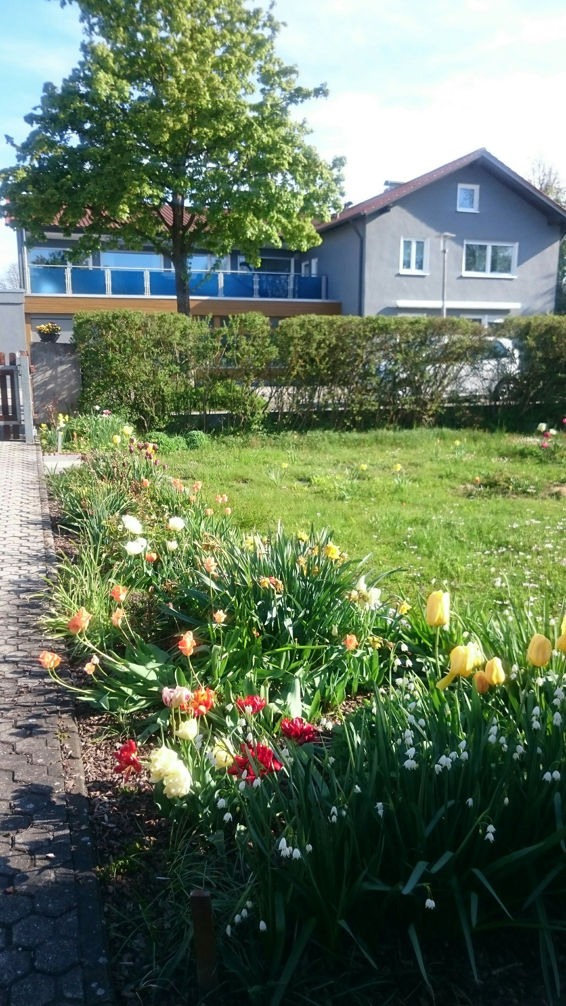 wp-image--1889233232